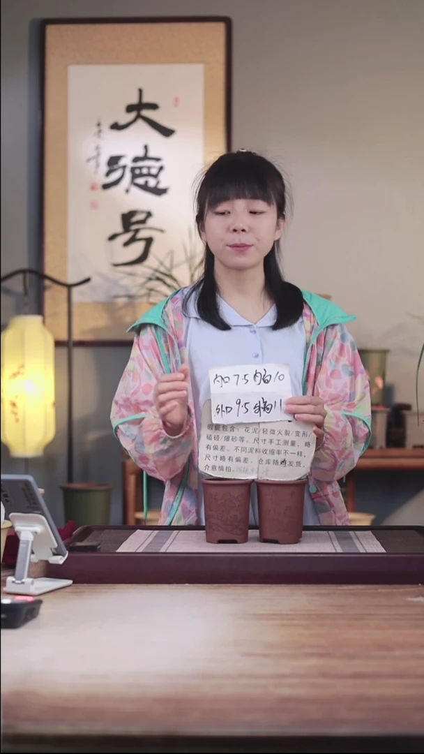 紫砂花盆瑕疵紫泥素刻熊猫和观山迷你小盆各一只无托