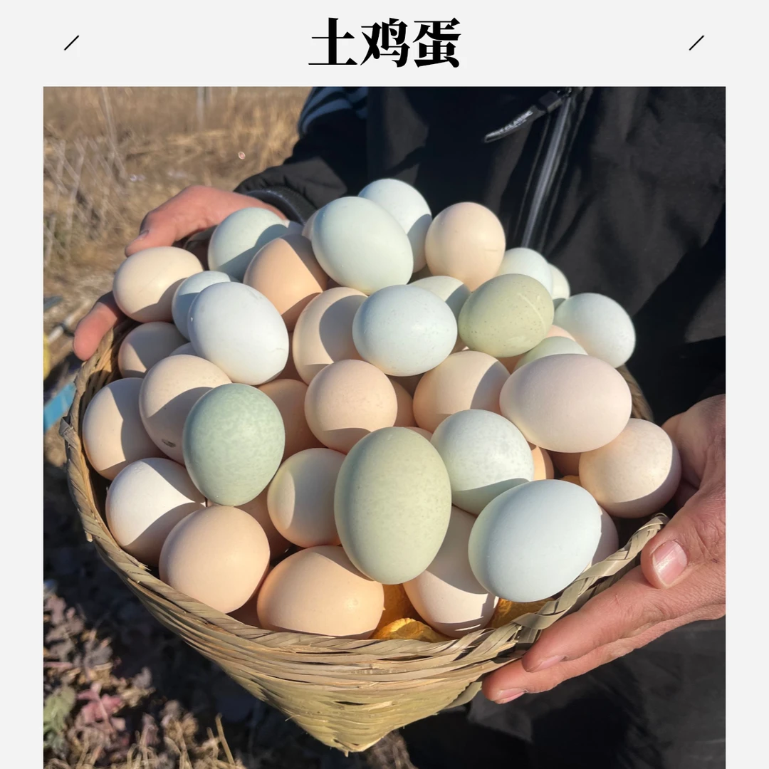 王屋山散养土鸡蛋50个//粉绿混装，顺丰包邮（蛋黄大、蛋清粘稠、不腥、不土包赔）
