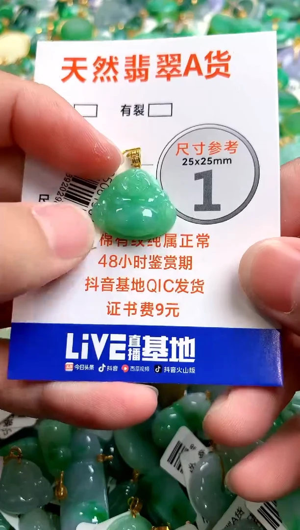 颈饰18K金镶嵌翡翠0482900415