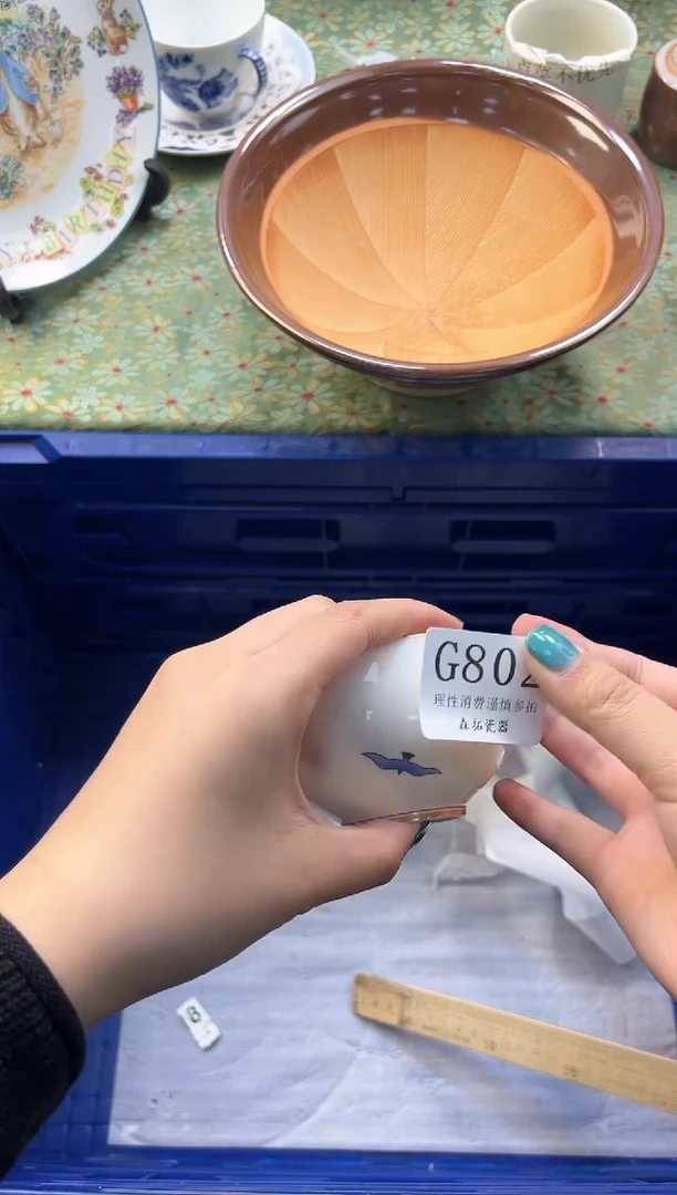 【闪购商品】瓷片          G802