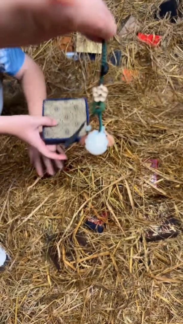 文檀精品手串《无礼盒》