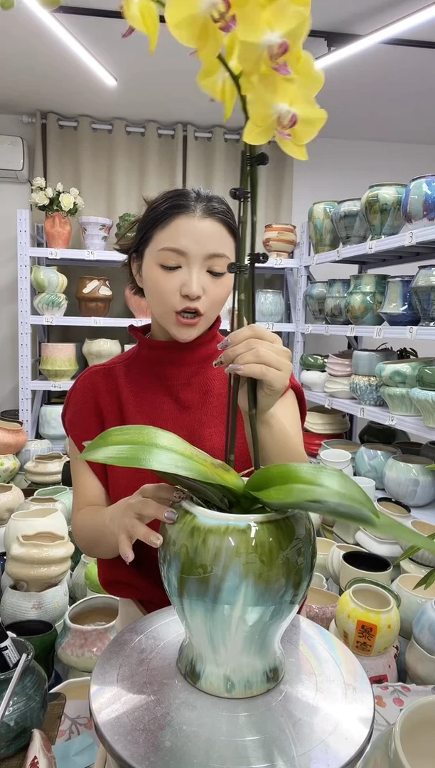 【11.22】直播链接  高度:    19.5口径:   11.5