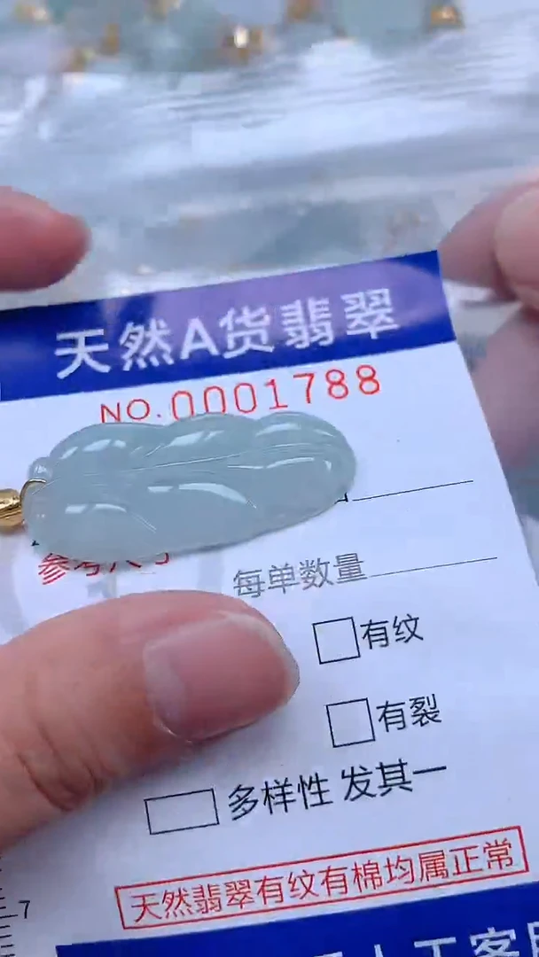 翡翠未镶嵌吊坠(不含链)1