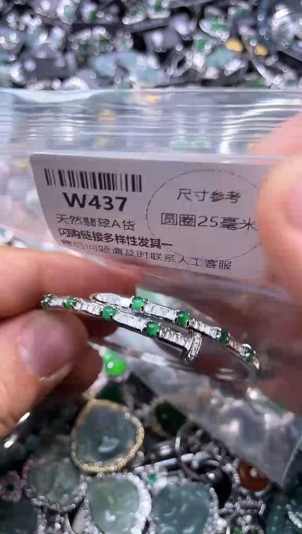 【闪购商品】翡翠颈饰未镶嵌W437手镯