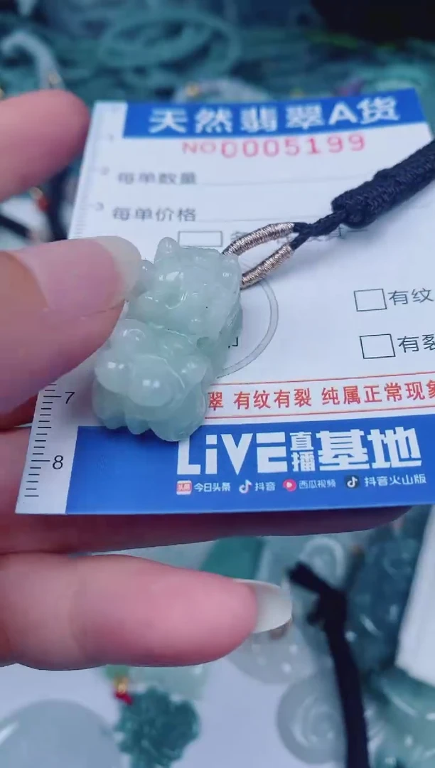 颈饰未镶嵌翡翠00005199