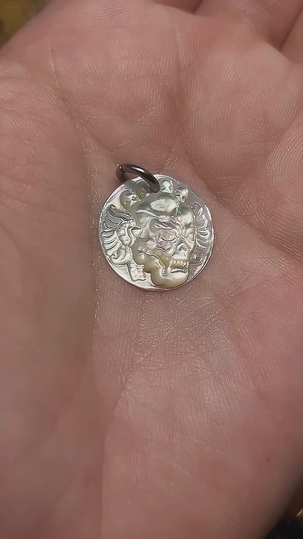 贝壳其他尸陀林主侧挂