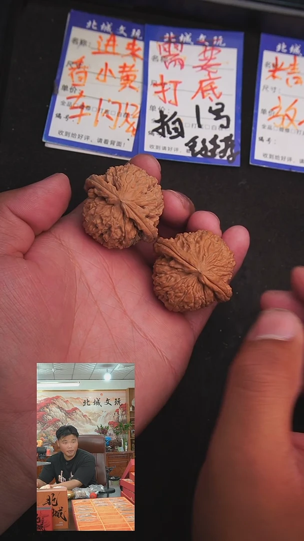 文玩核桃把件80号40白狮子