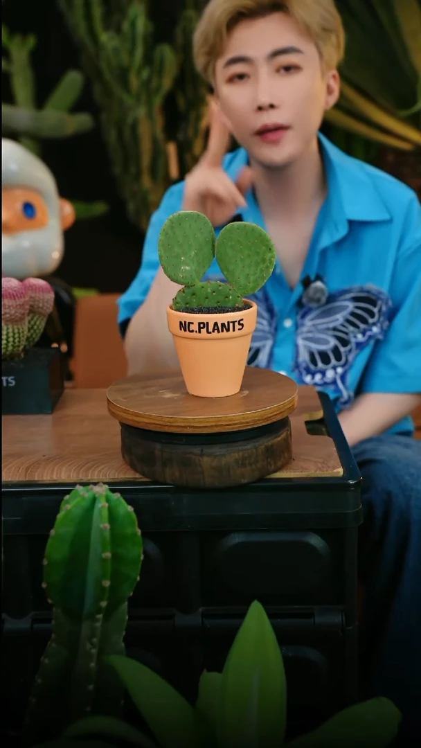 无花朵米奇头（福利