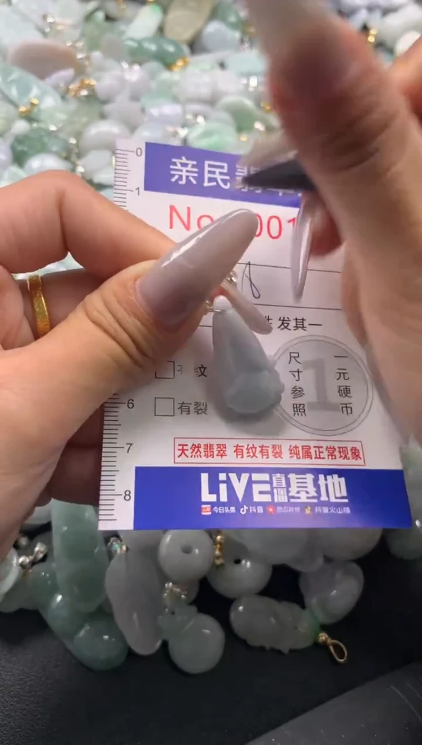 颈饰未镶嵌翡翠1447