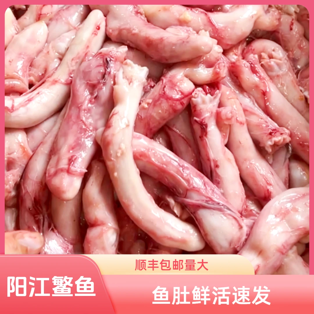 新鲜现取鳘鱼肚脆爽炖煮、补充营养、易吸收、胶原蛋白双十一好物