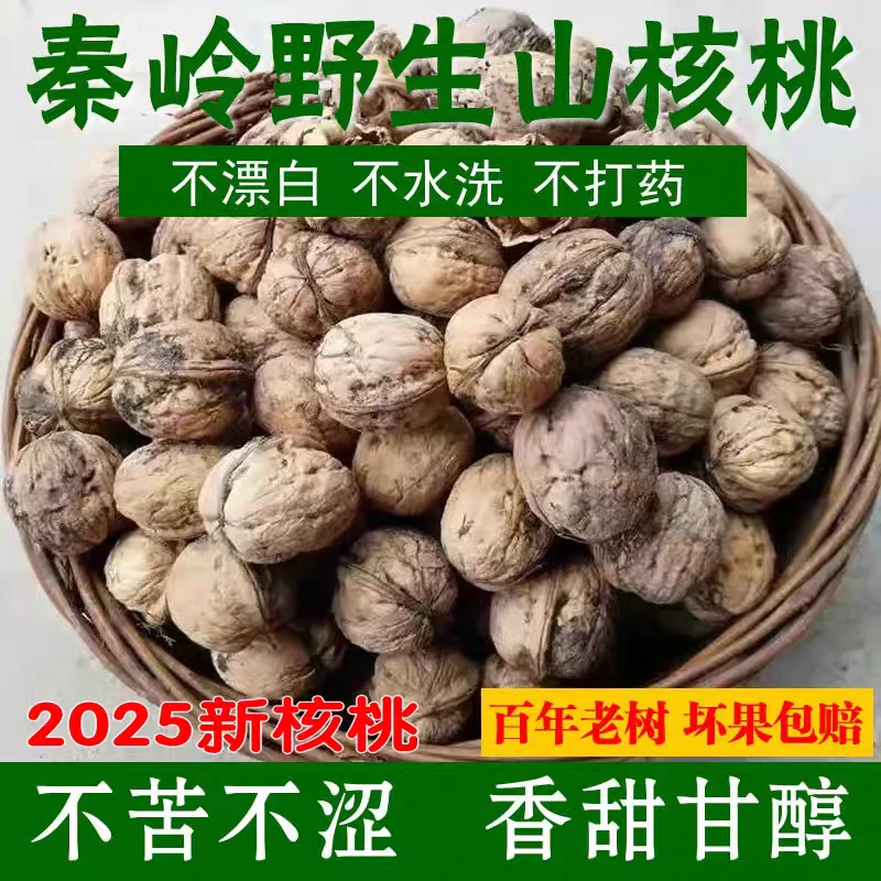 秦岭老树核桃丑核桃 皮厚肉香