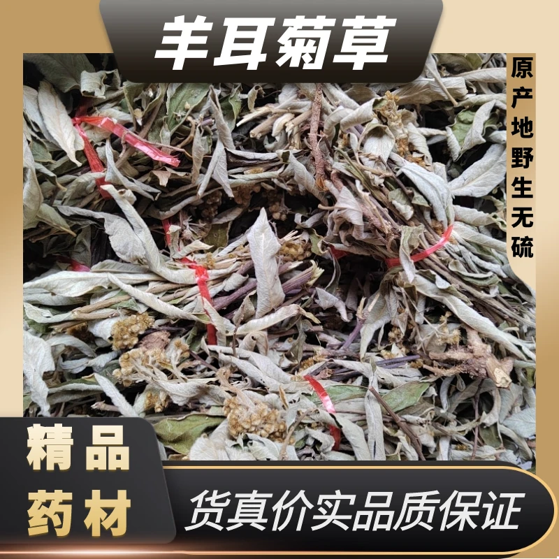 野生羊耳菊中草药材羊耳菊草白面风白牛胆山白芷枝叶干货另售党参