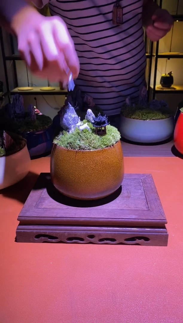 吉鑫福利精选福力