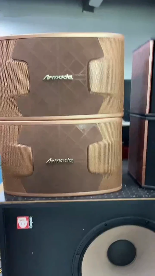 8新不包邮 10寸卡包音响  KTV音箱一对   运费到付