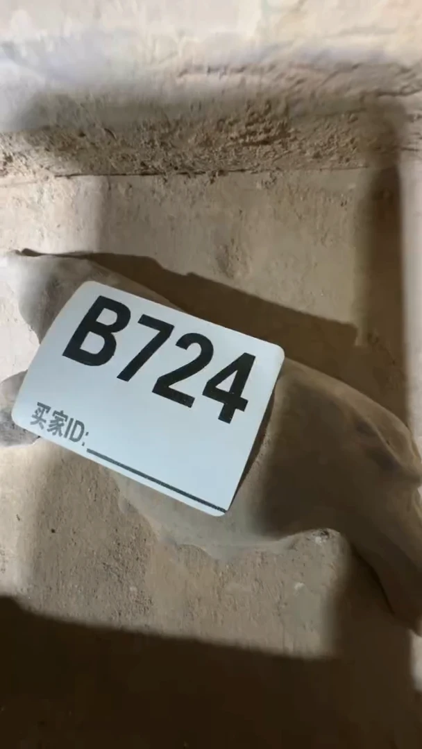 刘***店0818老王直播间专属链接