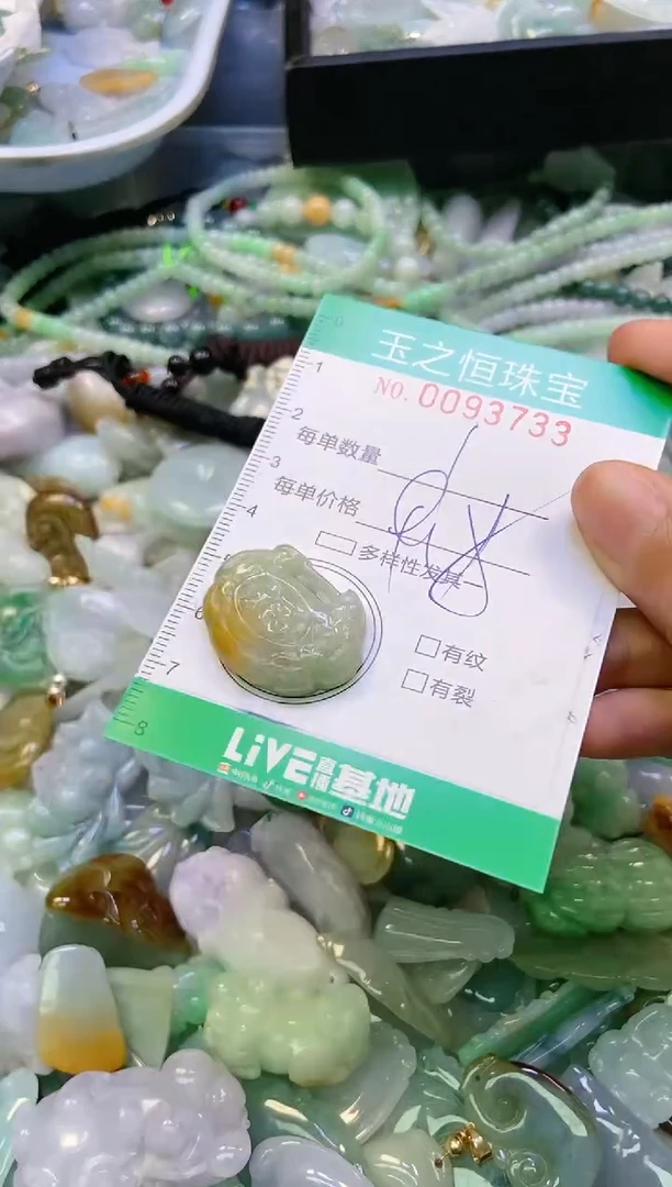 翡翠未镶嵌颈饰闪购0093733