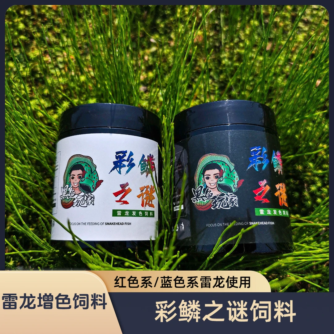 彩鳞之谜鳢科鱼专用增色饲料 红色系蓝色系雷龙雷龙鱼饲料定制