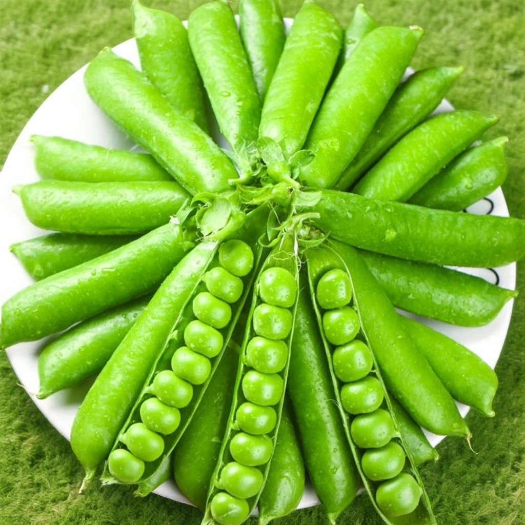 云南新鲜青豌豆颗大饱满现摘蔬菜包邮高原甜豆豌豆荚严选产地直发