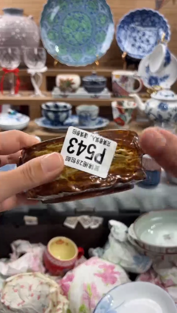 瓷片叶***耶     P543