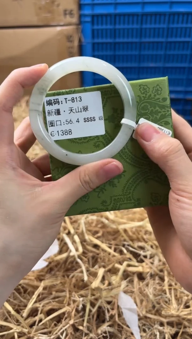 未镶嵌手镯石英质玉T-813