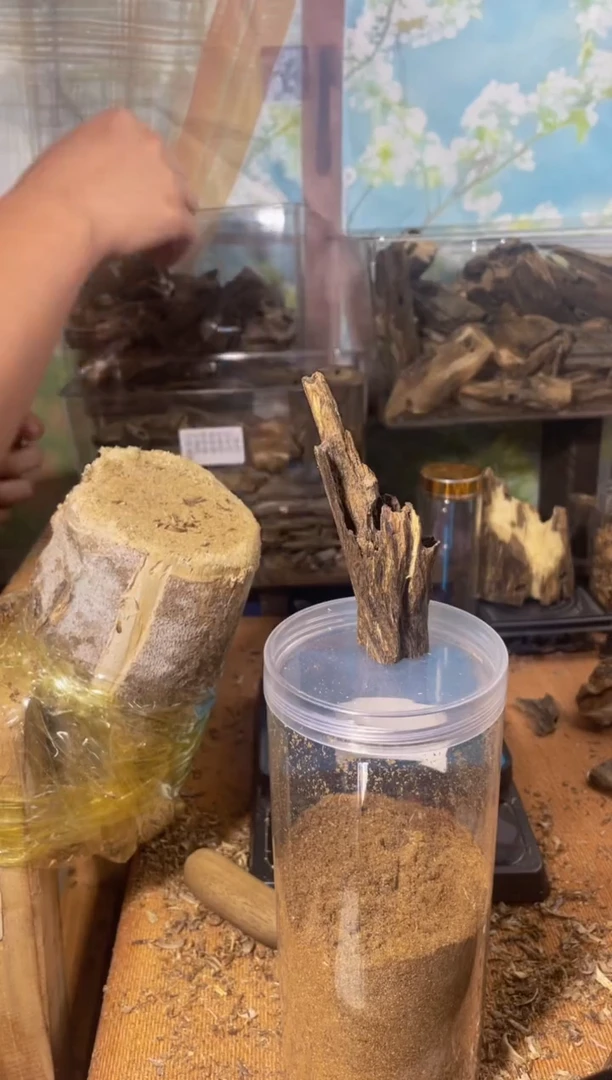 沉香沉香碎屑乌身98