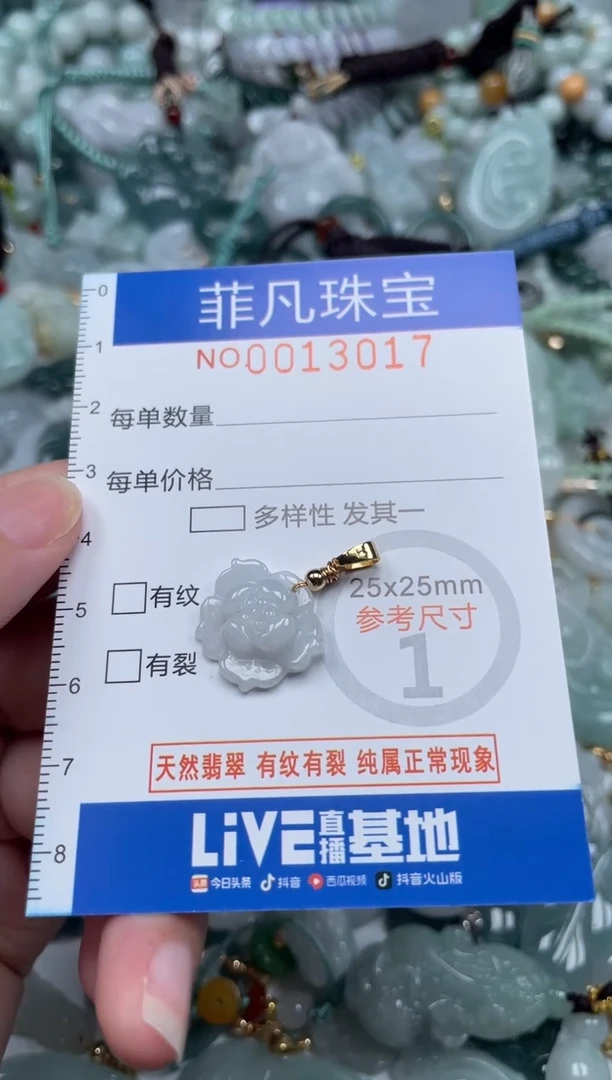 颈饰未镶嵌翡翠13017