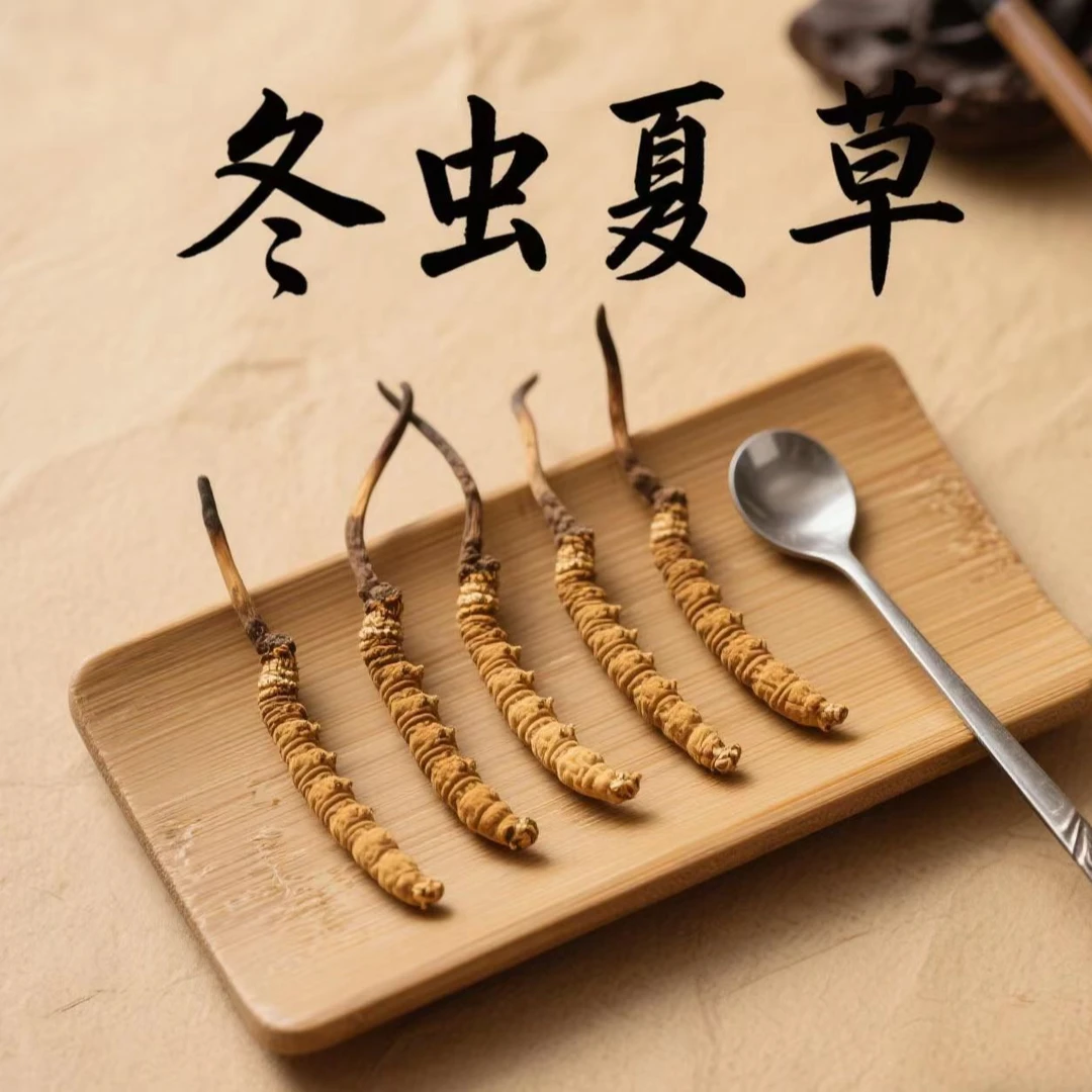 【中大断草】藏区高海拔正宗冬虫夏草整根滋补食用泡水煲汤