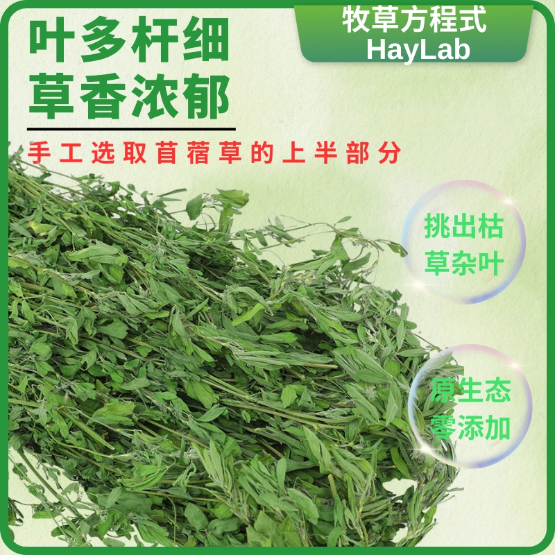 精选烘干紫花苜蓿草宠物兔龙猫猪粗纤维牧草干草兔子兔子草