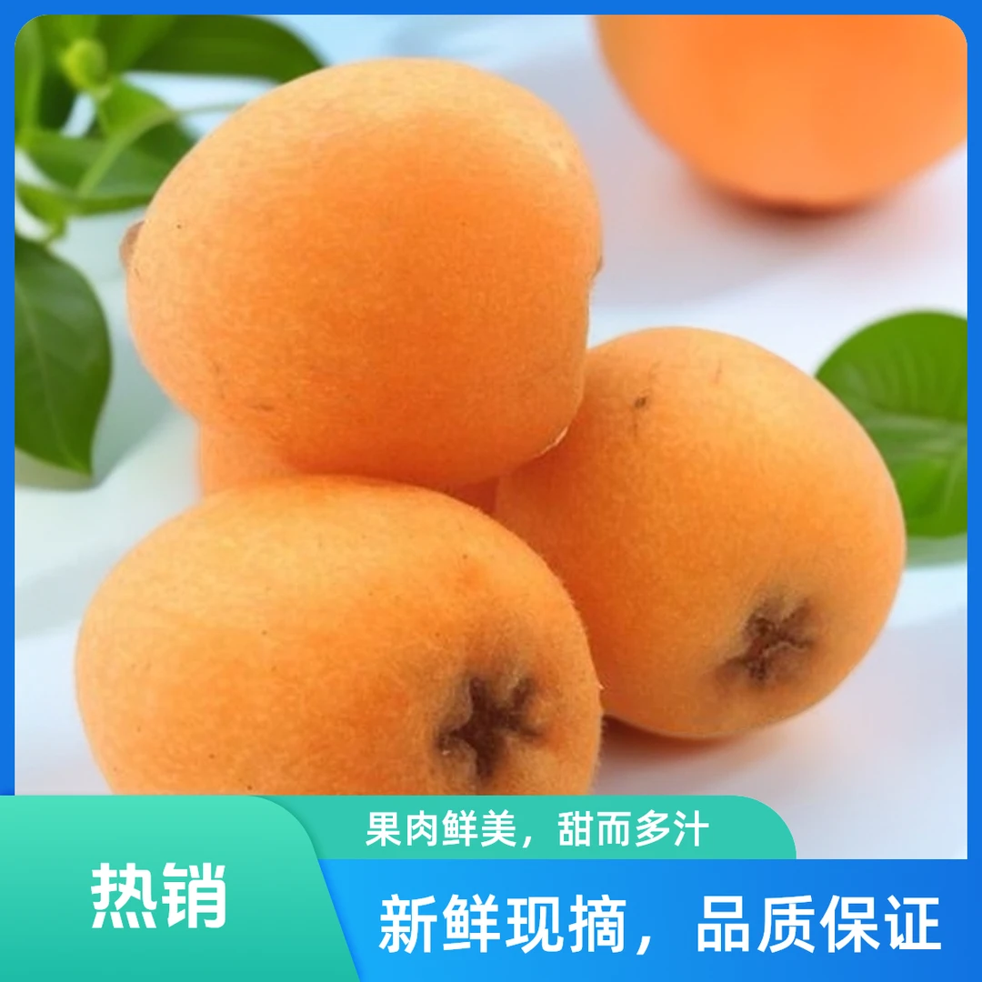 枇杷酸甜适口 鲜嫩多汁/盒450-500g