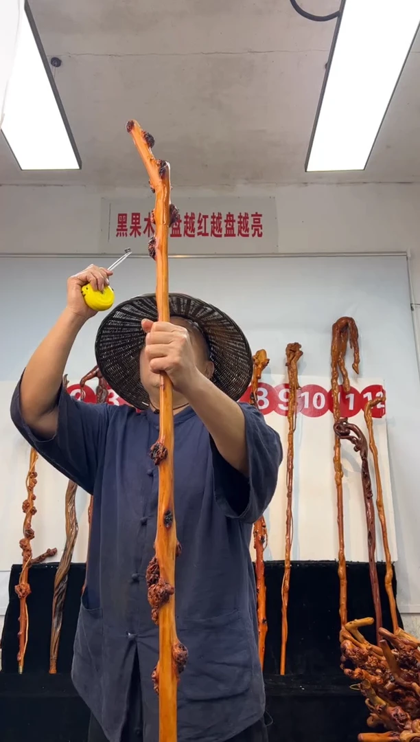 黑果木其他黑果木478