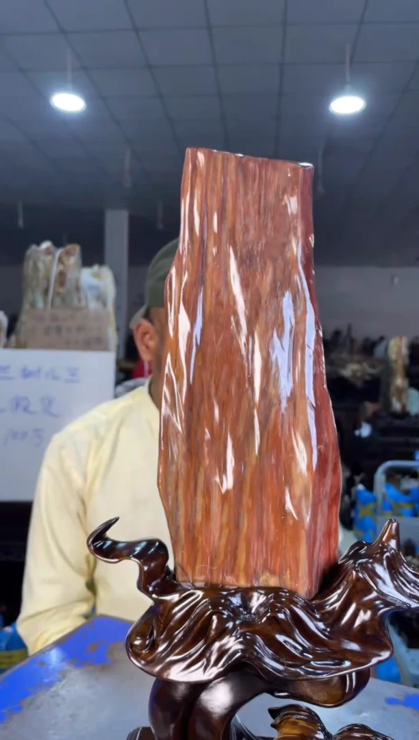 未镶嵌摆件硅化玉55