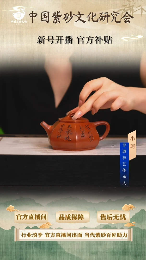 茶壶紫砂陶茶文化王            大红袍230cc左右