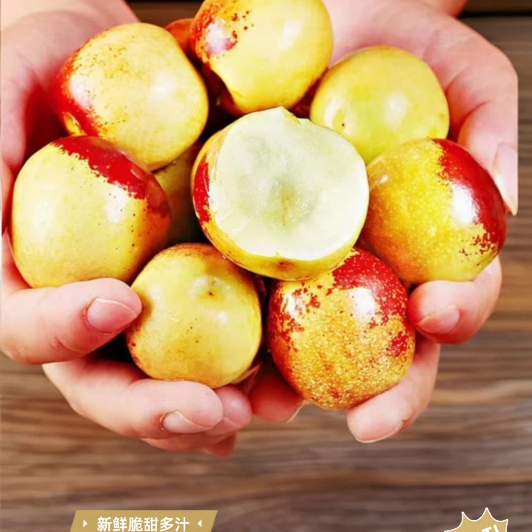 自家果园现摘新鲜正宗沾化冬枣甘甜多汁精选果王应季水果鲜枣包邮