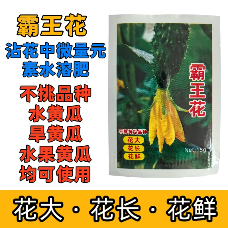 大鲜花蘸花营养液花大花鲜瓜条顺直色泽好膨果快