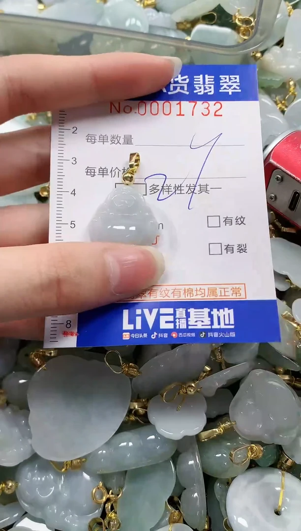 颈饰未镶嵌翡翠纯天然a货翡翠