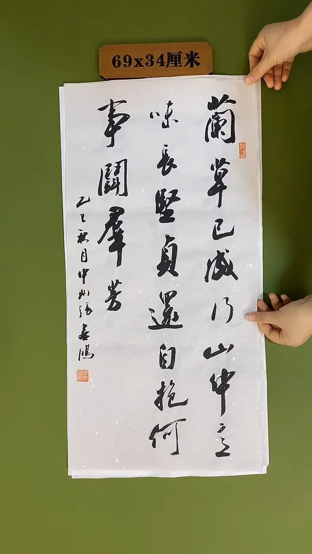 书法书法 张若鸿 尺寸69cm*34cm