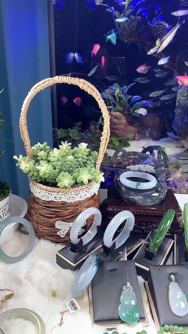 翡翠手镯未镶嵌子*多样性发一件