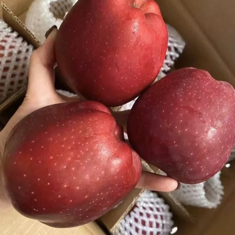 蛇果一斤9.9元山东省