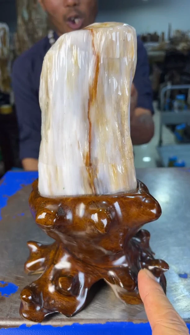 未镶嵌摆件硅化玉3