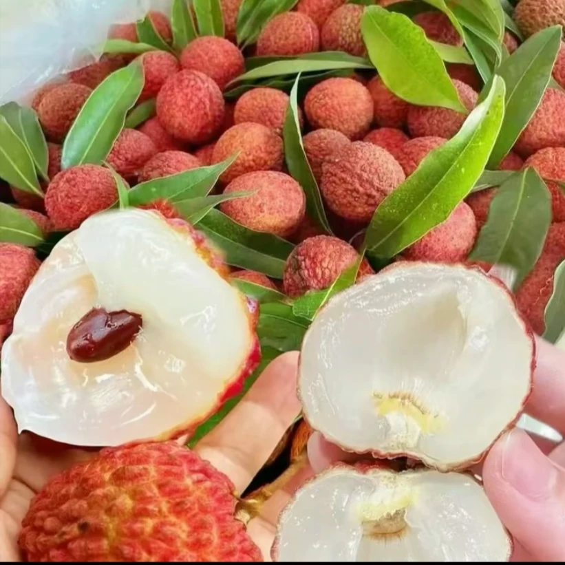 【新鲜发货】正宗高州妃子笑荔枝果肉饱满当季水果
