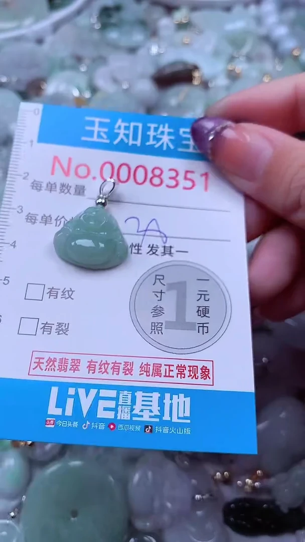 翡翠未镶嵌吊坠(不含链)8351