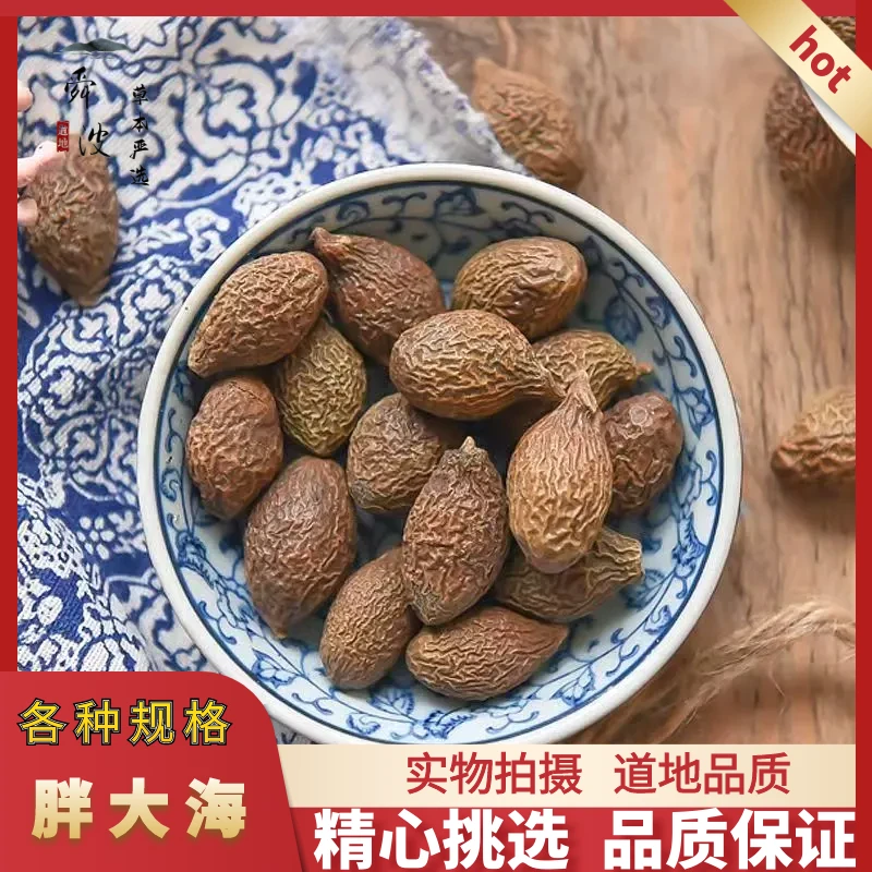 [舜波严选]胖大海新货精选大颗粒泡茶好泡开