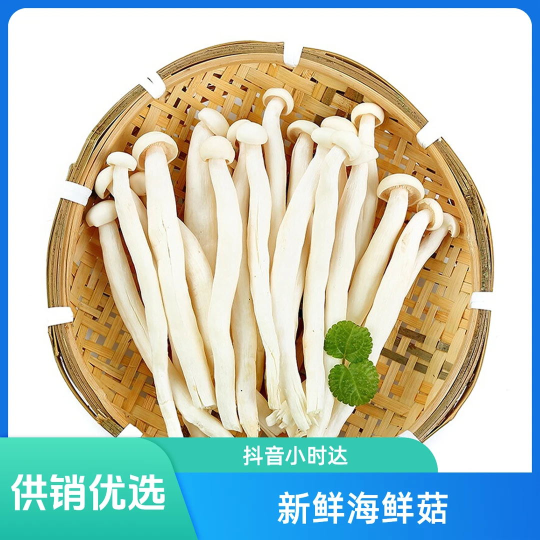 精品海鲜菇约200克