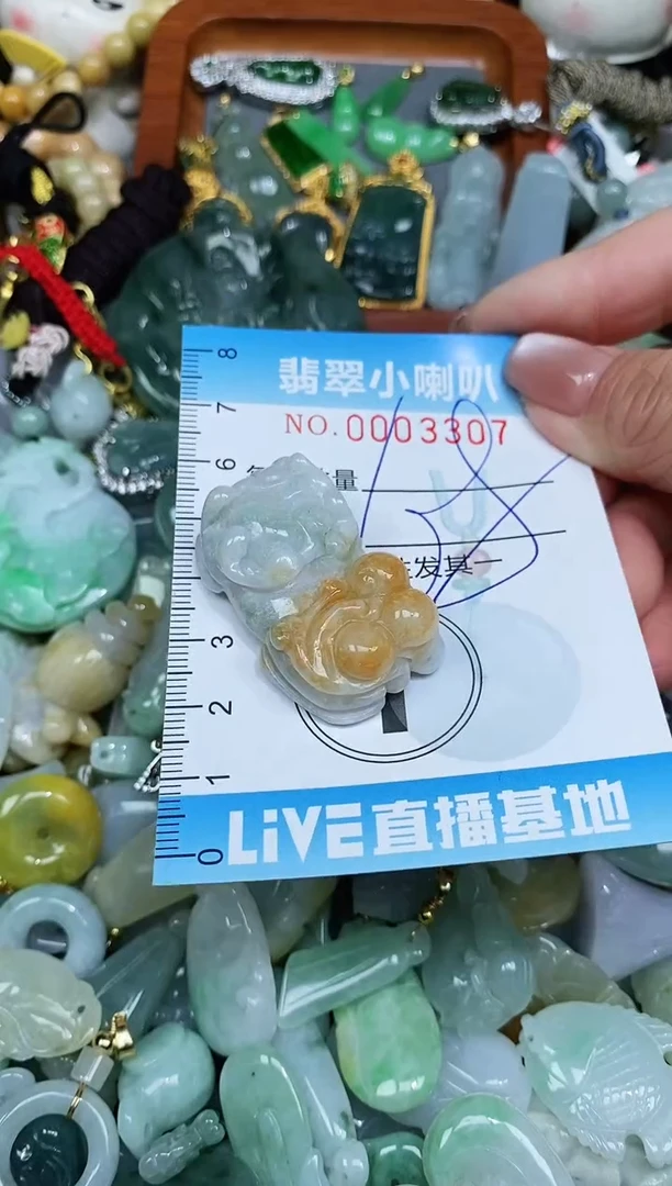 【闪购商品】翡翠颈饰未镶嵌闪购0003307