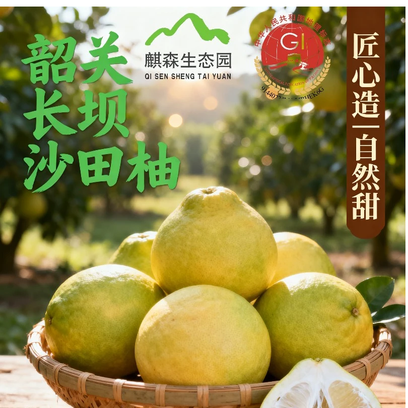 长坝沙田柚-不是所有的柚子都长在5A景区内正宗沙田柚