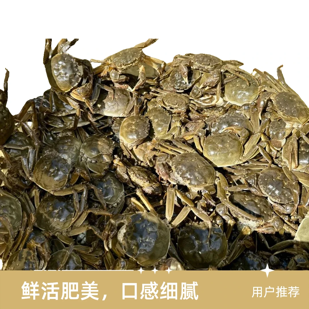 【活蟹】其他河蟹河蟹湖蟹单只1.2-1.5两母蟹一斤6-7只