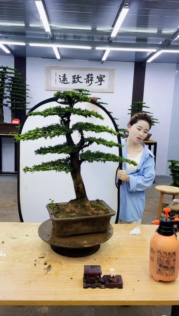 无花朵00000000000000000000