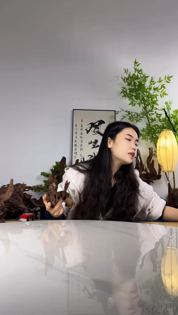 ?*可拍沉木定向链接编号3