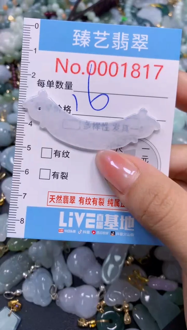 颈饰未镶嵌翡翠1817