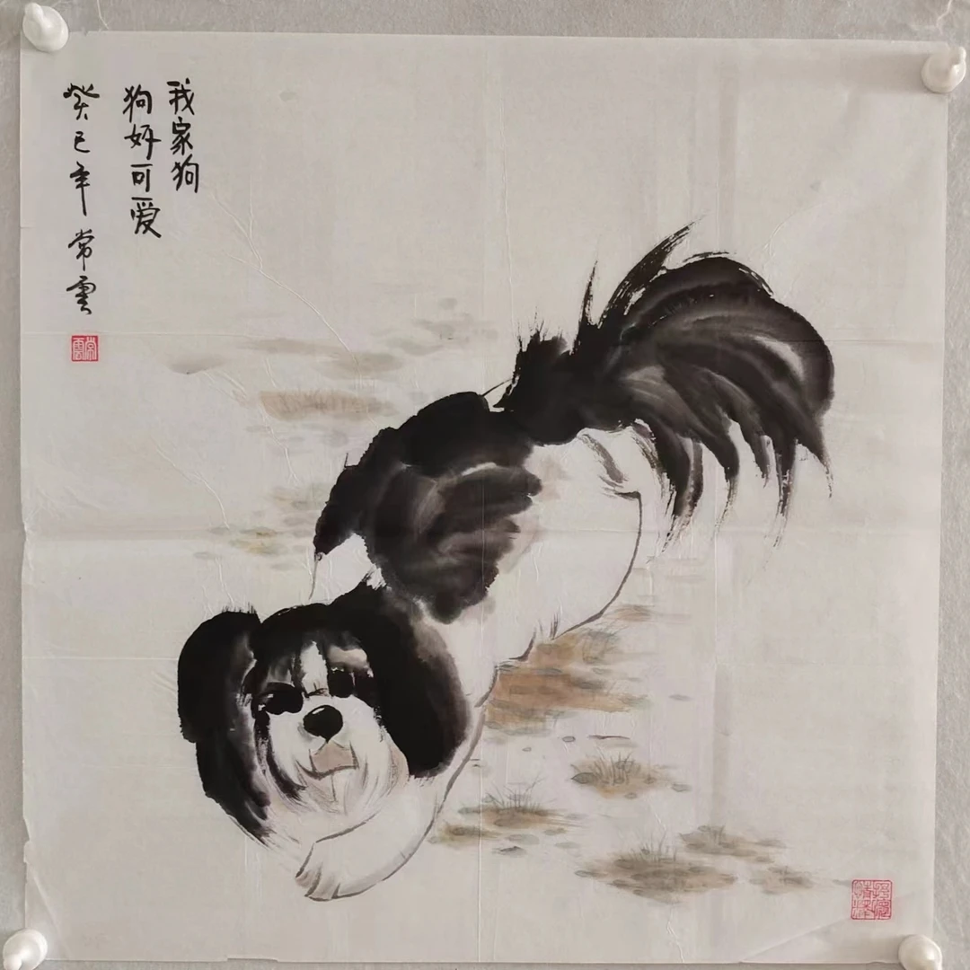 1951  纯手绘花老字画《狗》斗方  尺寸 68×68